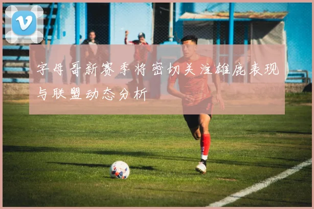 字母哥新赛季将密切关注雄鹿表现与联盟动态分析