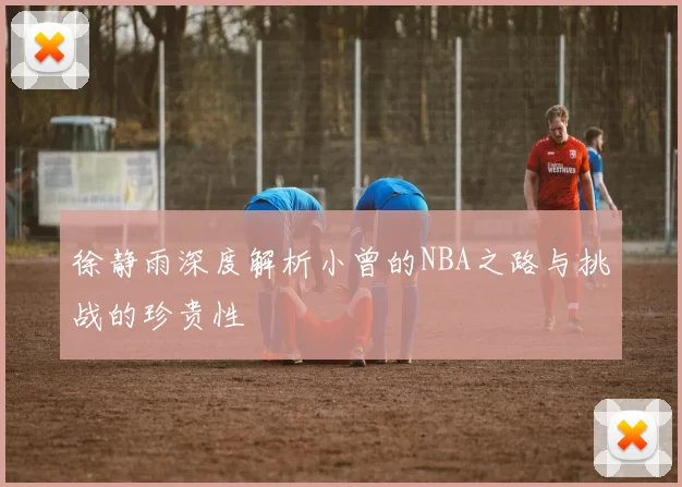 徐静雨深度解析小曾的NBA之路与挑战的珍贵性