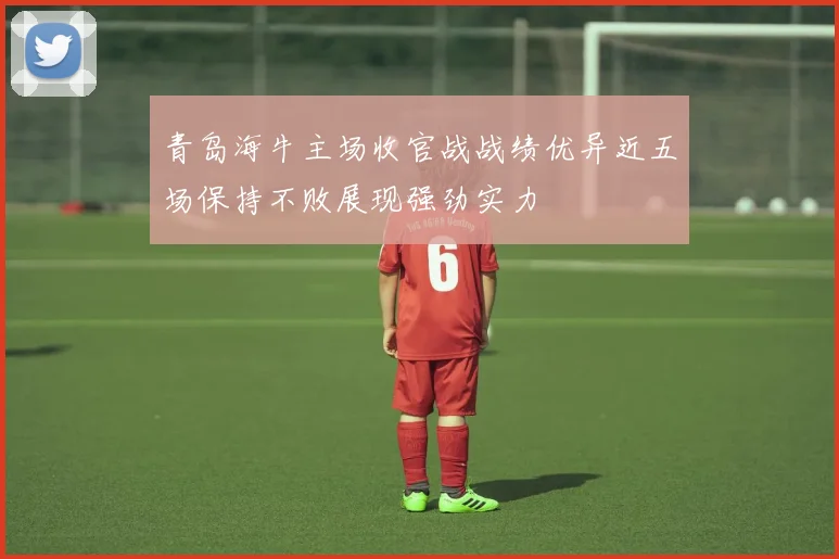 青岛海牛主场收官战战绩优异近五场保持不败展现强劲实力