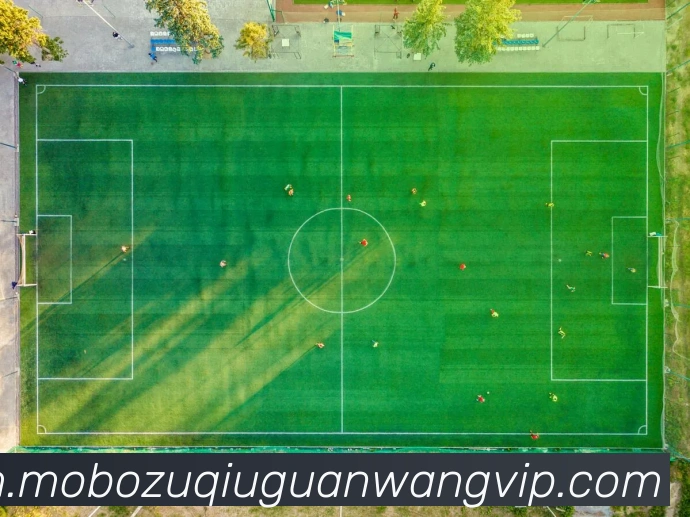 摩博体育服务体系